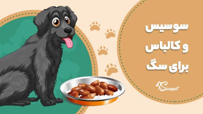 آیا سگ سوسیس و کالباس میخورد؟