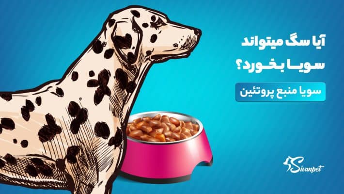 آیا سگ میتواند سویا بخورد؟