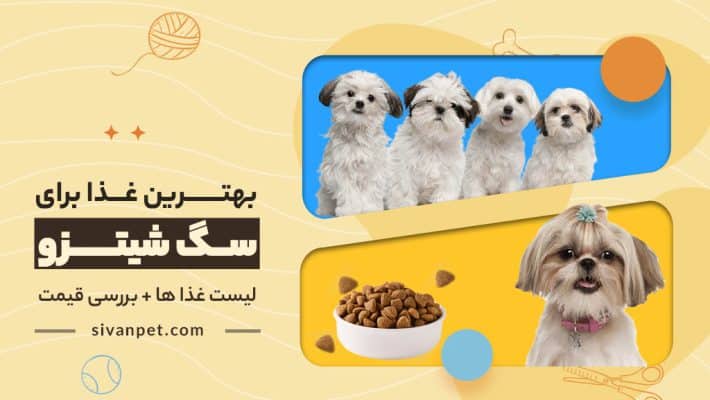 بهترین غذا برای سگ شیتزو