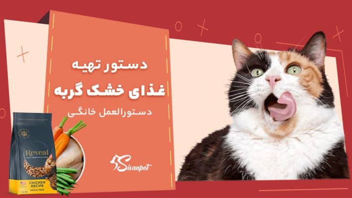 دستور تهیه غذای خشک گربه در خانه