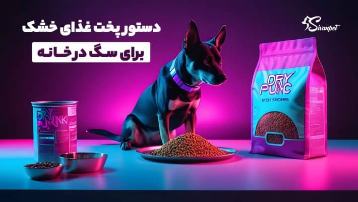 طرز تهیه 3 غذای خشک سگ در خانه + ساده و مقوی