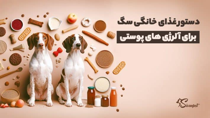 8 دستور غذای خانگی سگ برای آلرژی های پوستی