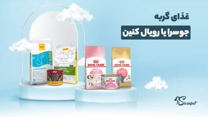 غذای گربه جوسرا یا رویال کنین؛ کدام بهتر است؟