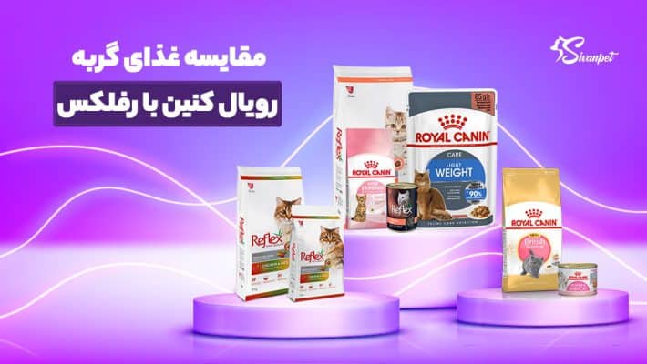 مقایسه غذای گربه رویال کنین با رفلکس