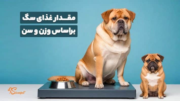 مقدار غذای سگ براساس وزن و سن چقدر است؟