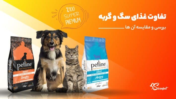 تفاوت غذای سگ و گربه در چیست؟