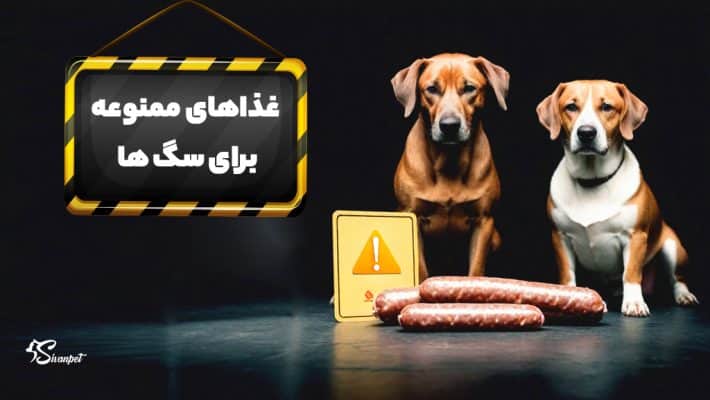 غذاهای ممنوعه برای سگ