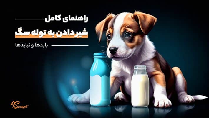 راهنمای کامل شیر دادن به توله سگ