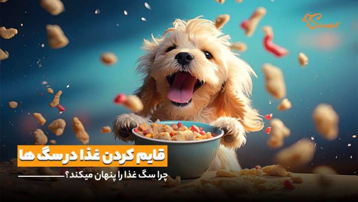 چرا سگ غذا را پنهان میکند؟