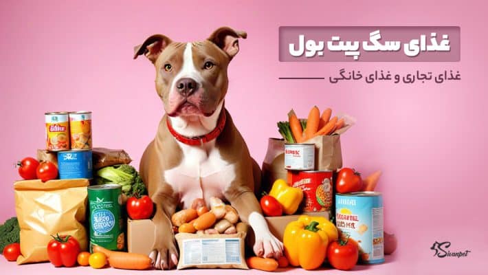 غذای سگ پیت بول