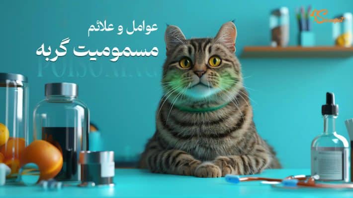 مسمومیت گربه چیست؟ عوامل و علائم آن