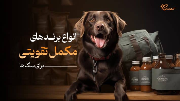 8 برند مکمل تقویتی سگ + غذای مکمل سگ