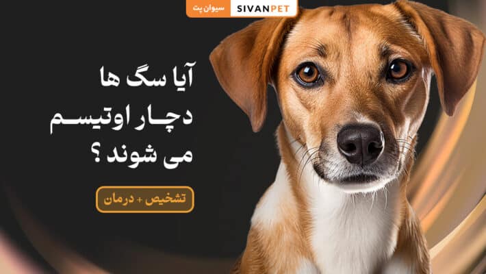اوتیسم در سگ