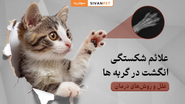 علائم شکستگی انگشت در گربه‌ ها