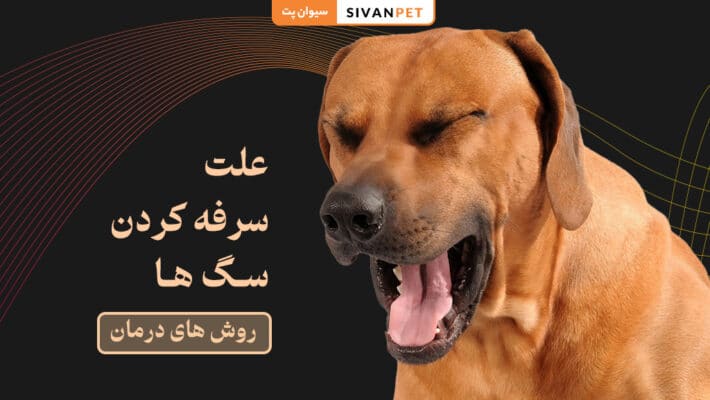 علت سرفه کردن سگ ها