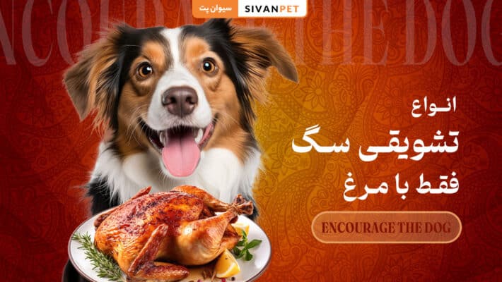 طرز تهیه 7 نوع تشویقی سگ فقط با مرغ