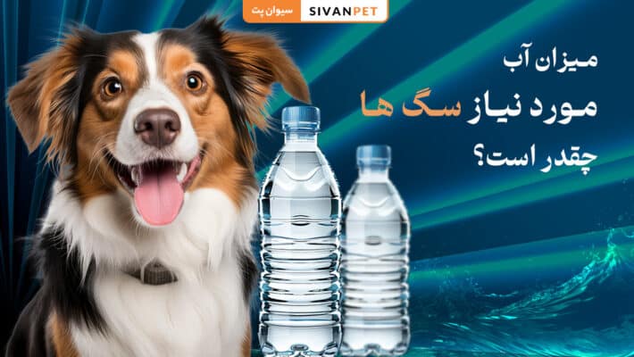 میزان آب مورد نیاز سگ