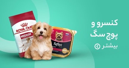 کنسرو و غذای سگ