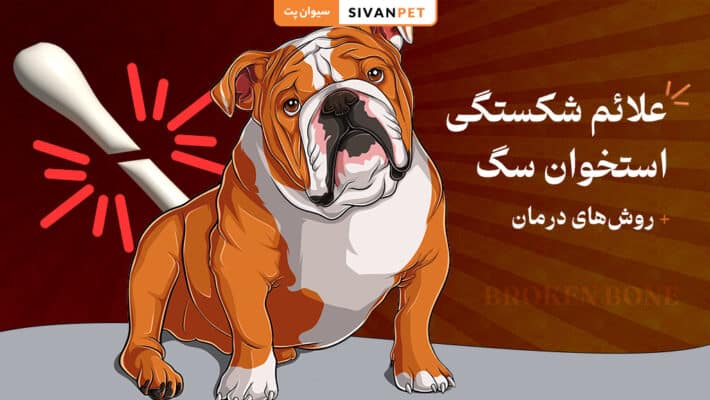 علائم شکستگی استخوان سگ
