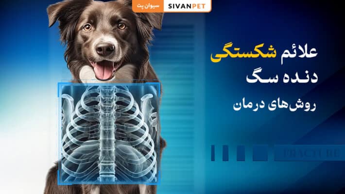 علائم شکستگی دنده سگ