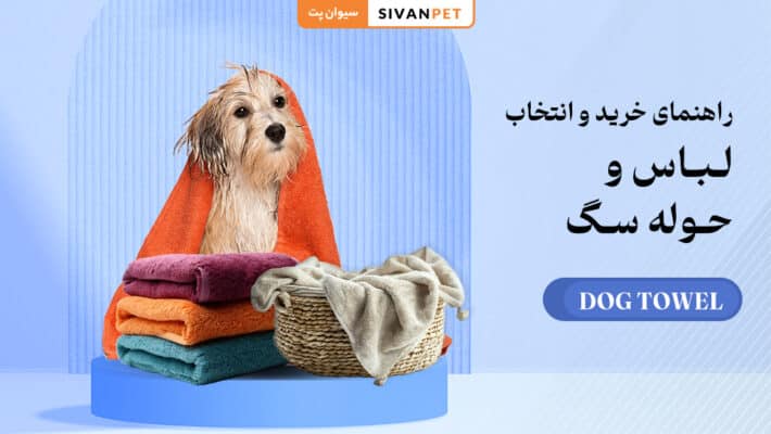 راهنمای خرید و انتخاب لباس و حوله سگ
