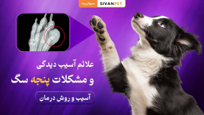 علائم آسیب دیدگی و مشکلات پنجه سگ