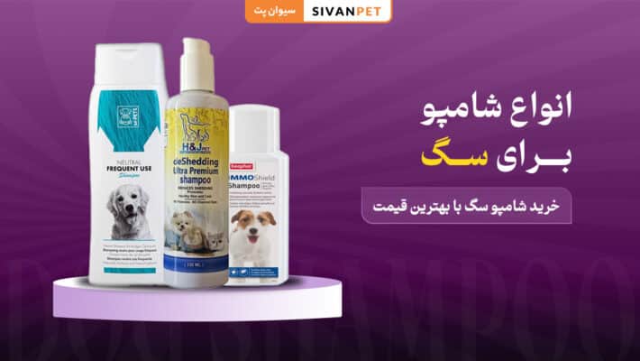 خرید شامپو سگ با بهترین قیمت