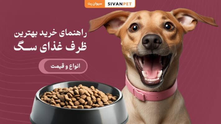 خرید بهترین ظرف غذای سگ