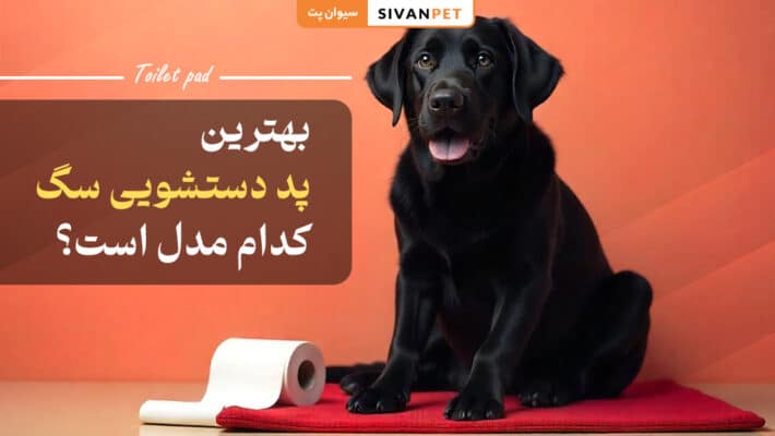 بهترین پد دستشویی سگ کدام مدل است؟