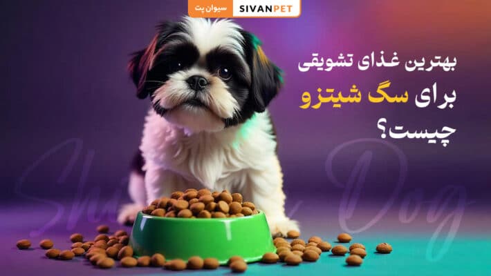 بهترین غذای تشویقی برای سگ شیتزو چیست؟