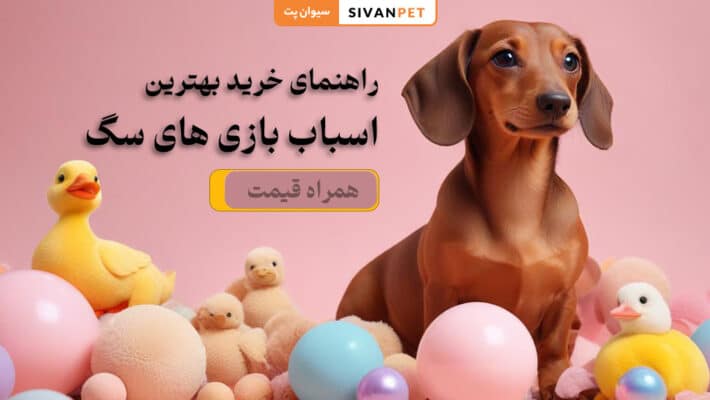 بهترین اسباب بازی های سگ