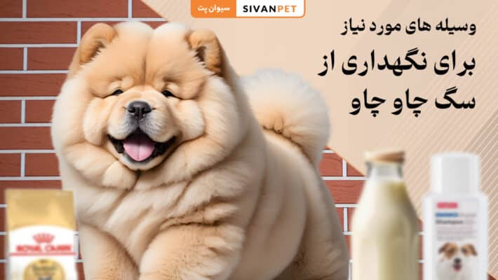 وسیله مورد نیاز برای نگهداری از سگ چاو چاو