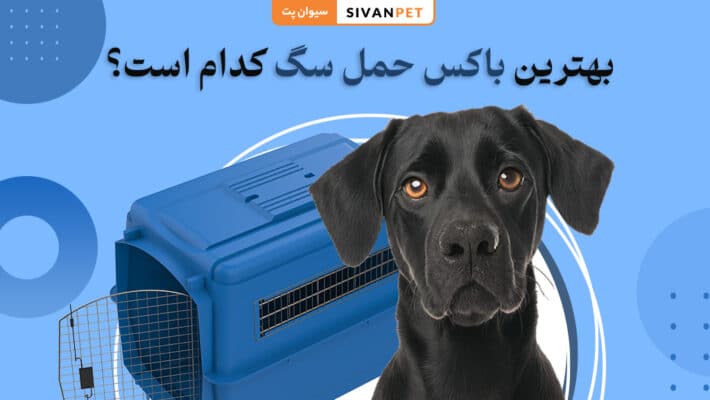 بهترین باکس حمل سگ کدام است؟