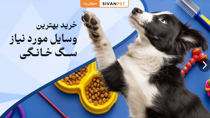 برای سگم چه لوازمی بخرم؟