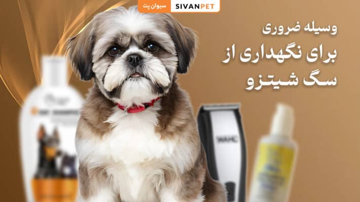 وسیله ضروری برای نگهداری از سگ شیتزو