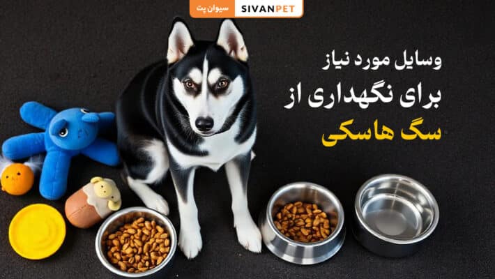 وسایل مورد نیاز برای نگهداری از سگ هاسکی