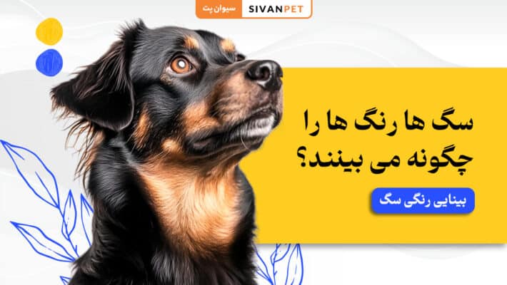 سگ‌ ها رنگ‌ ها را چگونه می‌ بینند؟