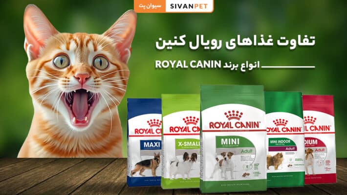 تفاوت غذاهای رویال کنین