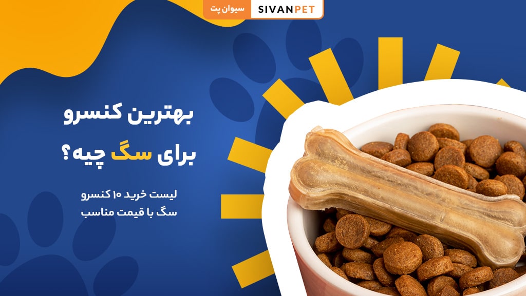 بهترین کنسرو برای سگ چیه؟