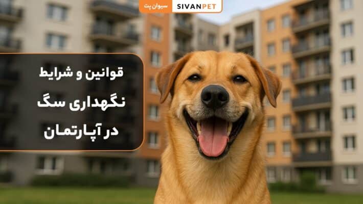 قوانین و شرایط نگهداری سگ در آپارتمان چیست؟
