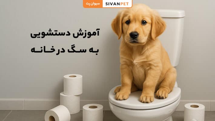 آموزش دستشویی به سگ در خانه