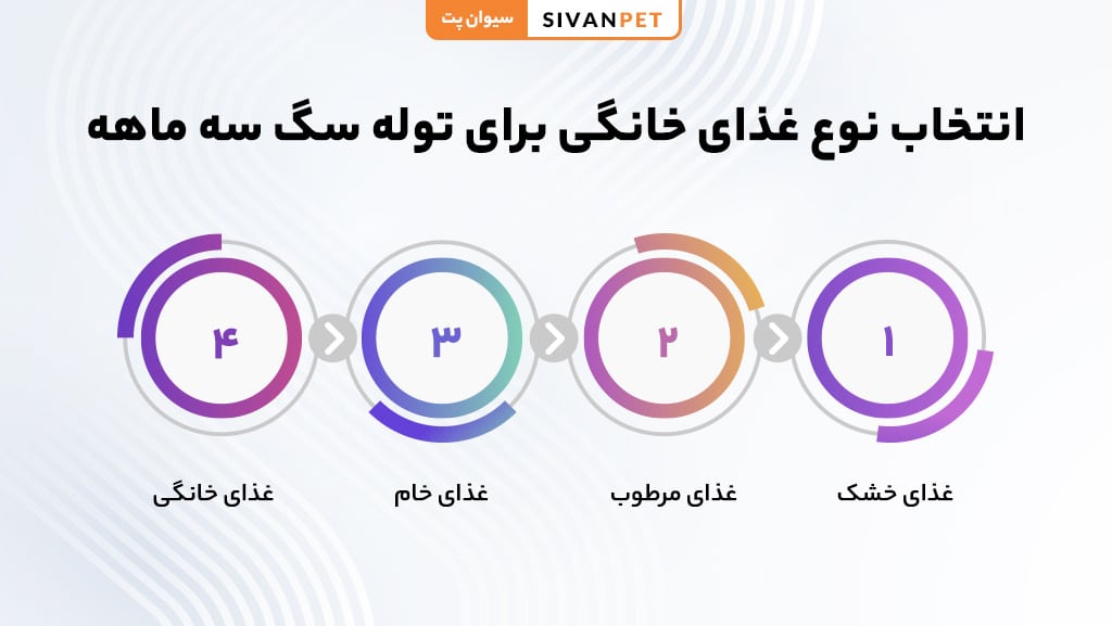 انتخاب نوع غذا برای توله سگ