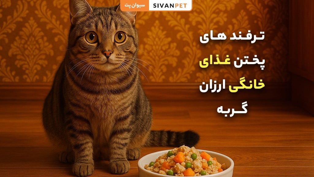 پختن غذای خانگی ارزان گربه
