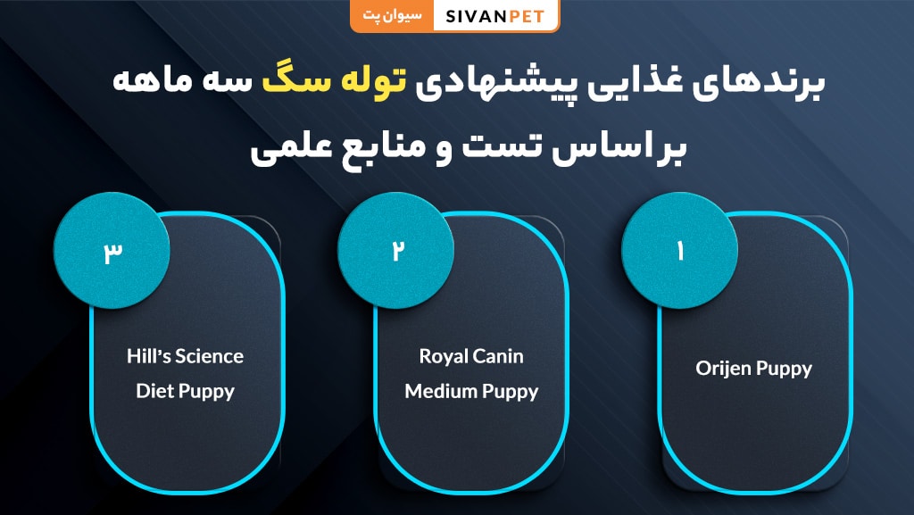 برندهای غذایی پیشنهادی توله سگ سه ماهه