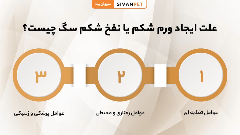 علت ایجاد ورم شکم سگ