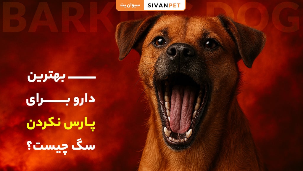 بهترین دارو برای پارس نکردن سگ چیست؟