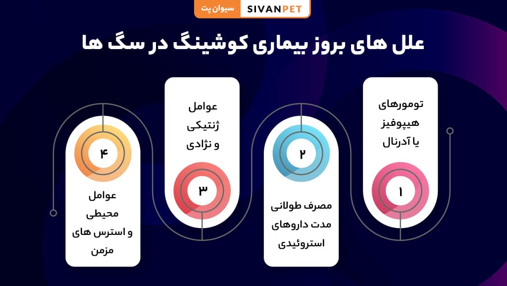 علائم بیماری Cushing در سگ