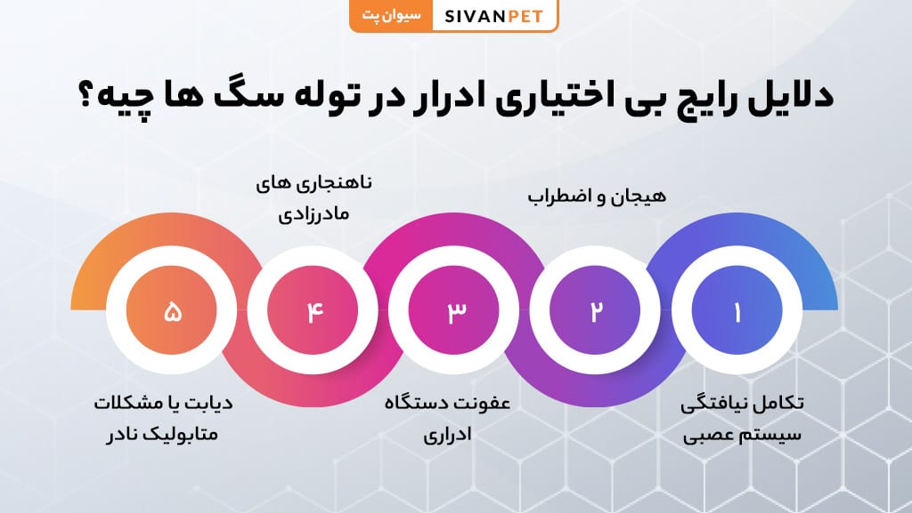 ادرار هیجانی چیست؟