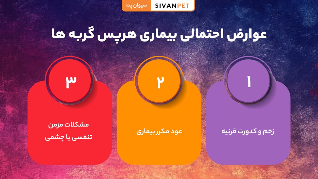 عوارض احتمالی بیماری هرپس گربه ها