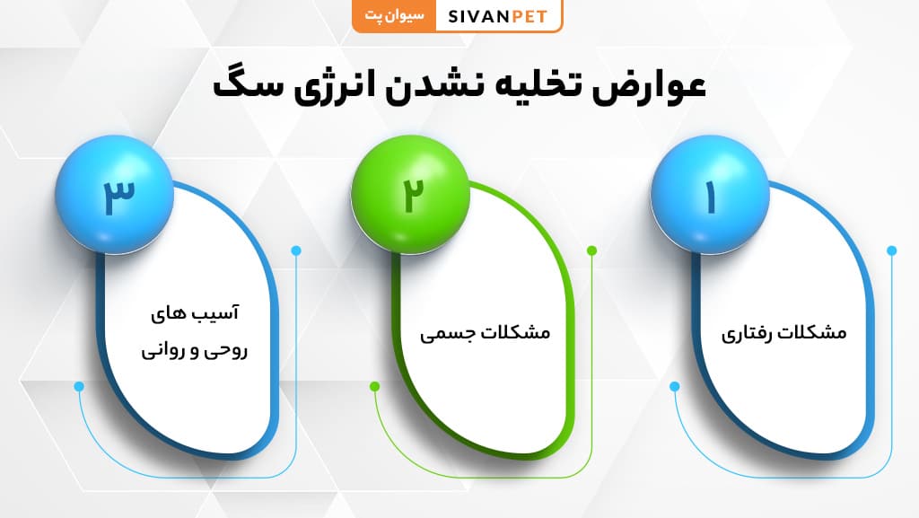 عوارض تخلیه نشدن انرژی سگ